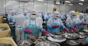 Xuất khẩu nông sản Việt Nam có thể giảm hàng tỉ USD vì xung đột Trung Đông