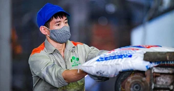 Xuất khẩu phân bón tăng vọt theo 'sóng' giá thế giới