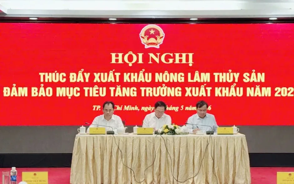 Xuất khẩu rau quả 2026: Tăng trưởng 22% và áp lực chuẩn hóa từ "vùng trồng" đến "cửa khẩu" Xuất khẩu rau quả 2026: Tăng trưởng 22% và áp lực chuẩn hóa từ "vùng trồng" đến "cửa khẩu"