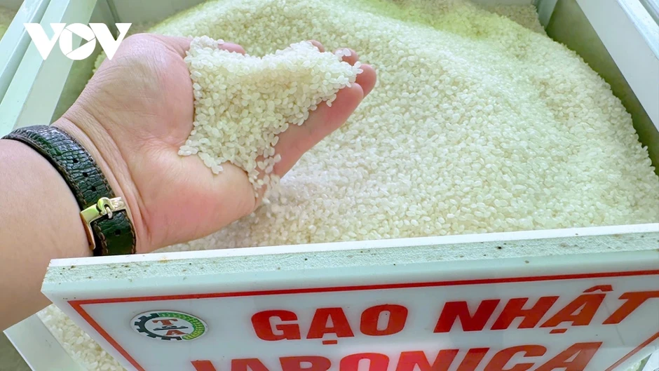 Xuất khẩu tăng 18,3% trong 2 tháng đầu năm, vượt mục tiêu đề ra Xuất khẩu tăng 18,3% trong 2 tháng đầu năm, vượt mục tiêu đề ra