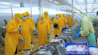 Xuất khẩu thủy sản Cà Mau đạt hơn 1,3 tỷ USD