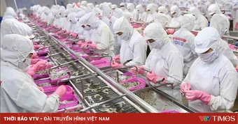 Xuất khẩu thủy sản có thể vượt 12 tỷ USD