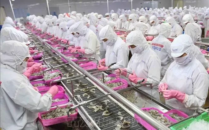 Xuất khẩu thủy sản có thể vượt 12 tỷ USD Xuất khẩu thủy sản có thể vượt 12 tỷ USD