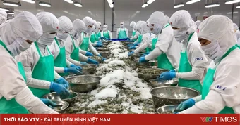 Xuất khẩu thủy sản tăng tốc, đạt gần 5,8 tỷ USD sau nửa đầu năm