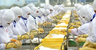 Xuất khẩu tôm vào Mỹ lại gặp khó