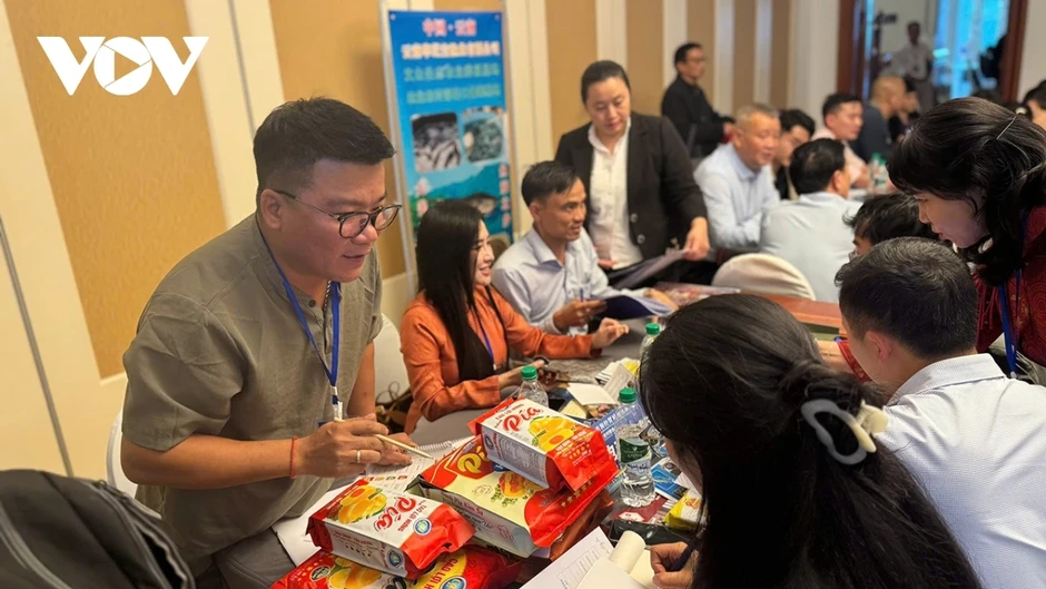 Xúc tiến thương mại, gia tăng cơ hội để DN Việt tiếp cận thị trường Trung Quốc Xúc tiến thương mại, gia tăng cơ hội để DN Việt tiếp cận thị trường Trung Quốc