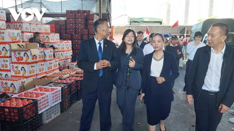 Xúc tiến thương mại, gia tăng cơ hội để DN Việt tiếp cận thị trường Trung Quốc Xúc tiến thương mại, gia tăng cơ hội để DN Việt tiếp cận thị trường Trung Quốc