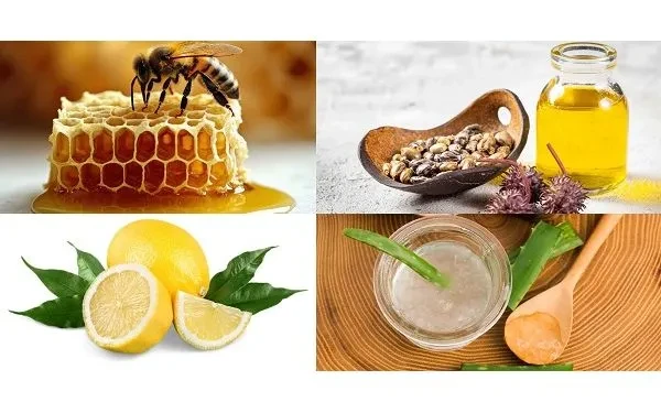 4 nguyên liệu tự nhiên giúp làm chậm lão hóa, duy trì làn da mịn màng 4 nguyên liệu tự nhiên giúp làm chậm lão hóa, duy trì làn da mịn màng