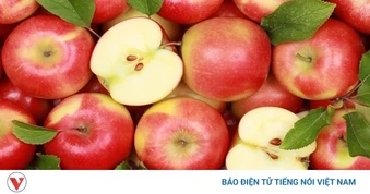 5 loại trái cây vừa mát vừa hỗ trợ giảm cân trong ngày hè oi bức