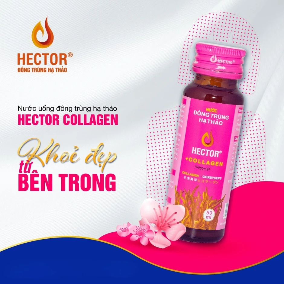 5 thực phẩm như ‘mỏ collagen’ giúp da bật độ căng bóng, trẻ hóa sau 2 tuần 5 thực phẩm như ‘mỏ collagen’ giúp da bật độ căng bóng, trẻ hóa sau 2 tuần