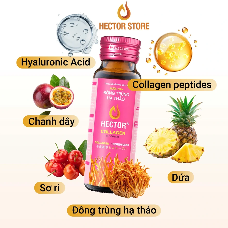 5 thực phẩm như ‘mỏ collagen’ giúp da bật độ căng bóng, trẻ hóa sau 2 tuần 5 thực phẩm như ‘mỏ collagen’ giúp da bật độ căng bóng, trẻ hóa sau 2 tuần