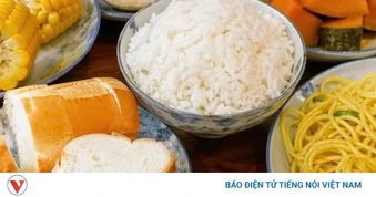Ăn tinh bột thế nào để vừa đủ năng lượng vừa không tăng cân?