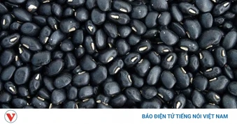 Chiết xuất đậu đen mang lại lợi ích gì cho sức khỏe, làn da?
