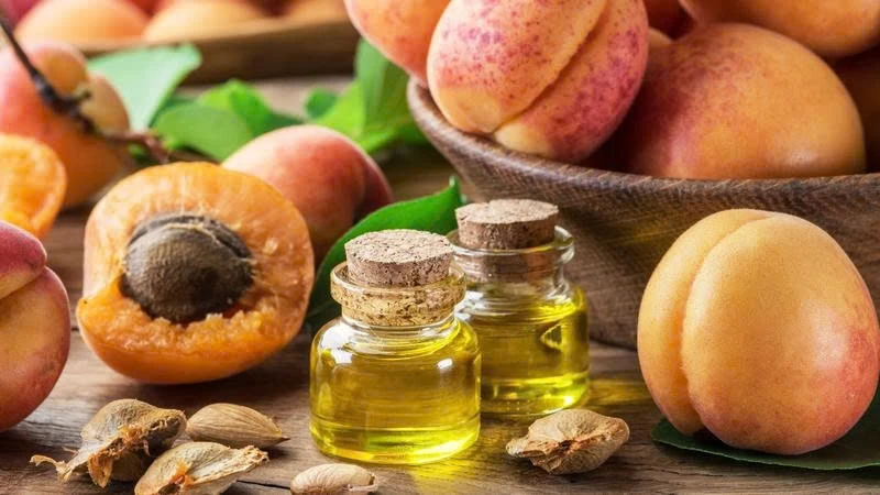 Chiết xuất hạt mơ: Dưỡng ẩm, chống lão hóa nhưng cần biết điều này Chiết xuất hạt mơ: Dưỡng ẩm, chống lão hóa nhưng cần biết điều này