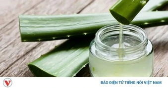 Chiết xuất từ lô hội, “trợ thủ” chăm sóc da tự nhiên được ưa chuộng