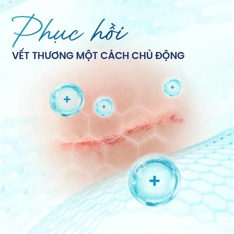 Giải mã ‘cuộc chiến’ vi mô tại vết thương: Khi sự kiểm soát quyết định phục hồi Giải mã ‘cuộc chiến’ vi mô tại vết thương: Khi sự kiểm soát quyết định phục hồi
