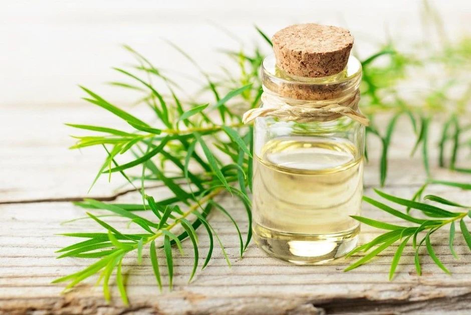 Giữa muôn vàn loại dưỡng ẩm, đâu là ‘texture chân ái’ dành cho da dầu mụn Giữa muôn vàn loại dưỡng ẩm, đâu là ‘texture chân ái’ dành cho da dầu mụn