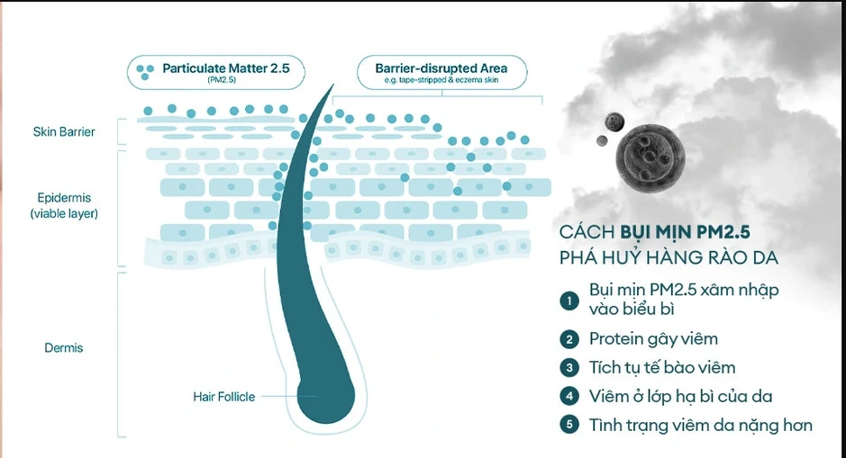 Làm sạch bụi mịn sau khi di chuyển nhiều ngày nắng nóng giúp da khỏe, sạch sâu