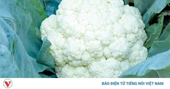 Muốn giảm cân, nhiều người chọn súp lơ trắng vì lý do này