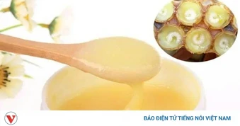 Sữa ong chúa có thực sự “thần kỳ” với phụ nữ? Sự thật ít người biết