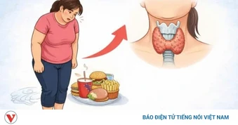 Vì sao ăn mãi vẫn gầy? Những nguyên nhân ít ai ngờ và cách cải thiện