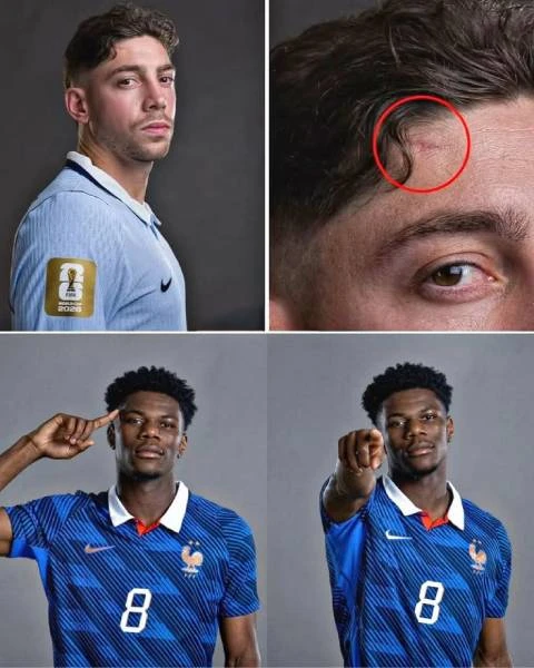 Real Madrid: Tchouameni và Valverde đã thực sự ‘yêu lại từ đầu’? Real Madrid: Tchouameni và Valverde đã thực sự ‘yêu lại từ đầu’?