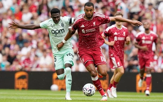 Lý do Roberto De Zerbi muốn đưa Cody Gakpo về Tottenham Lý do Roberto De Zerbi muốn đưa Cody Gakpo về Tottenham