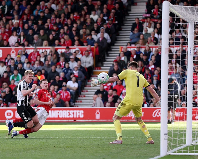 Newcastle chính thức trụ hạng sau trận hòa Nottingham Newcastle chính thức trụ hạng sau trận hòa Nottingham