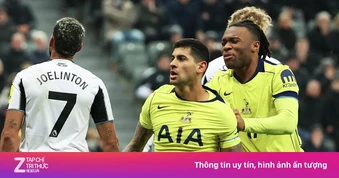 Newcastle được khuyên cố tình thua để Tottenham xuống hạng