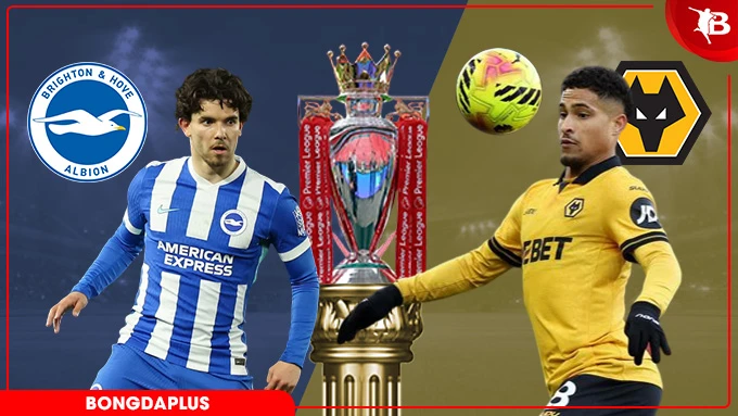 Nhận định bóng đá Brighton vs Wolves, 21h00 ngày 9/5: Xuống hạng rồi, buông thôi Nhận định bóng đá Brighton vs Wolves, 21h00 ngày 9/5: Xuống hạng rồi, buông thôi