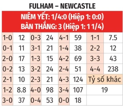 Nhận định bóng đá Fulham vs Newcastle, 22h00 ngày 24/5: Quậy tung London!