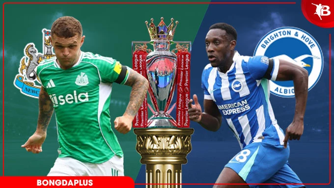 Nhận định bóng đá Newcastle vs Brighton, 21h00 ngày 2/5: Bắn hạ Chích chòe Nhận định bóng đá Newcastle vs Brighton, 21h00 ngày 2/5: Bắn hạ Chích chòe