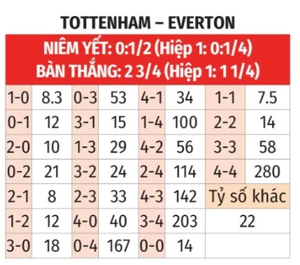 Trực tiếp Tottenham vs Everton, 22h00 ngày 24/5 Trực tiếp Tottenham vs Everton, 22h00 ngày 24/5