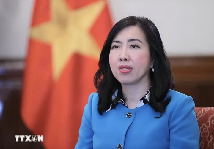 Cộng đồng người Việt Nam ở nước ngoài là nguồn lực chiến lược quan trọng Cộng đồng người Việt Nam ở nước ngoài là nguồn lực chiến lược quan trọng