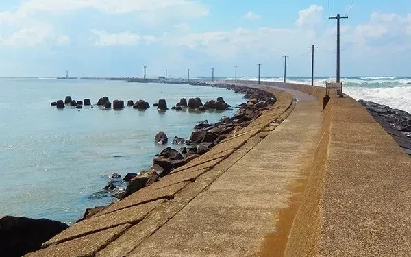 Đại sứ quán Việt Nam bảo hộ các thực tập sinh rơi xuống biển tại Nhật Bản Đại sứ quán Việt Nam bảo hộ các thực tập sinh rơi xuống biển tại Nhật Bản