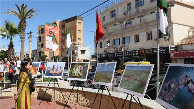 Dâng hoa tưởng nhớ Bác tại đại lộ mang tên Người ở Algeria Dâng hoa tưởng nhớ Bác tại đại lộ mang tên Người ở Algeria
