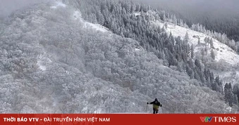 Một phụ nữ Việt Nam thiệt mạng khi leo núi tại Nhật Bản