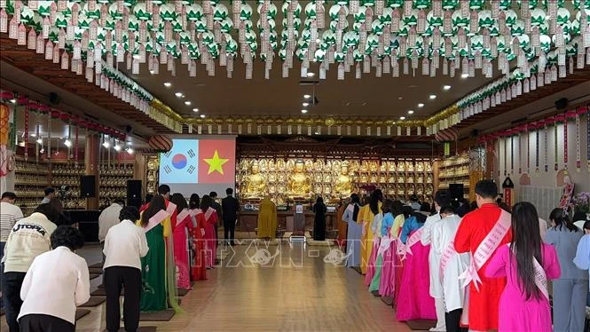 Thắp sáng niềm tin về hòa bình và chủ quyền biển đảo Việt Nam tại Hàn Quốc Thắp sáng niềm tin về hòa bình và chủ quyền biển đảo Việt Nam tại Hàn Quốc