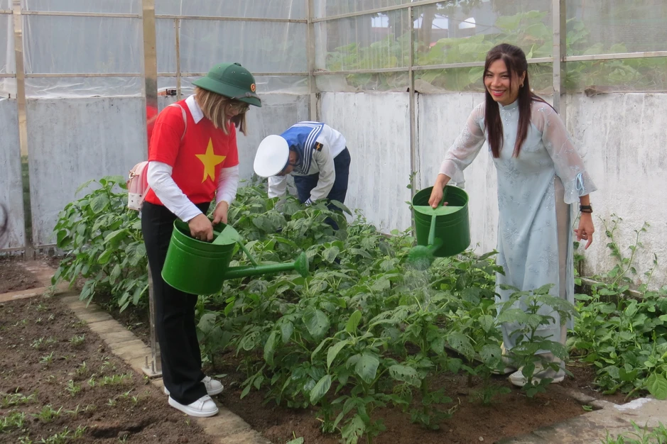 Vườn rau xanh từ kiều bào Ba Lan giữa nắng gió Trường Sa Vườn rau xanh từ kiều bào Ba Lan giữa nắng gió Trường Sa
