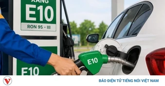 Các hãng xe lớn tại Việt Nam thông tin ô tô tương thích với xăng E10