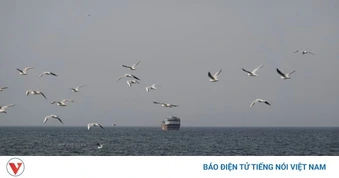 Bài học từ thập niên 1980 có giúp Mỹ phá giải "bẫy" thủy lôi Iran ở Hormuz?