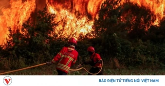 Châu Âu tung “vũ khí AI” đối phó thảm họa cháy rừng