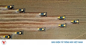 Trí tuệ nhân tạo trở thành "kỹ sư" của nông dân
