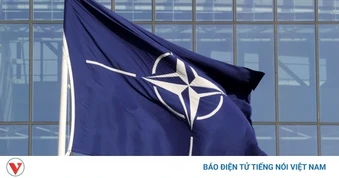 Tương lai NATO thêm bất định sau khi ông Trump cân nhắc rút Mỹ khỏi khối