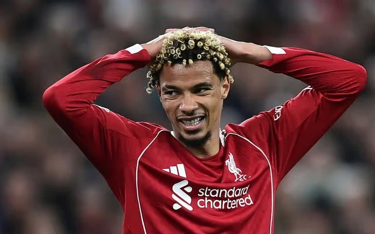 Van Dijk dùng từ ngữ nặng nề chỉ trích đồng đội sau trận thua Wolves Van Dijk dùng từ ngữ nặng nề chỉ trích đồng đội sau trận thua Wolves