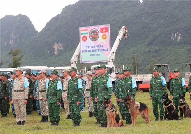 Việt Nam và Ấn Độ ngày càng đồng điệu trong các ưu tiên khu vực và toàn cầu Việt Nam và Ấn Độ ngày càng đồng điệu trong các ưu tiên khu vực và toàn cầu