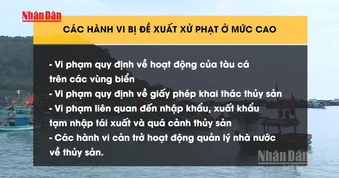 [Video] Đề xuất phạt 1 tỷ đồng với nhiều hành vi vi phạm trong lĩnh vực thủy sản