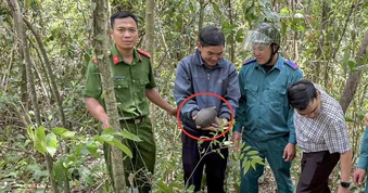 1 người dân ở Khánh Hòa bắt gặp con tê tê trên đường đi làm rẫy