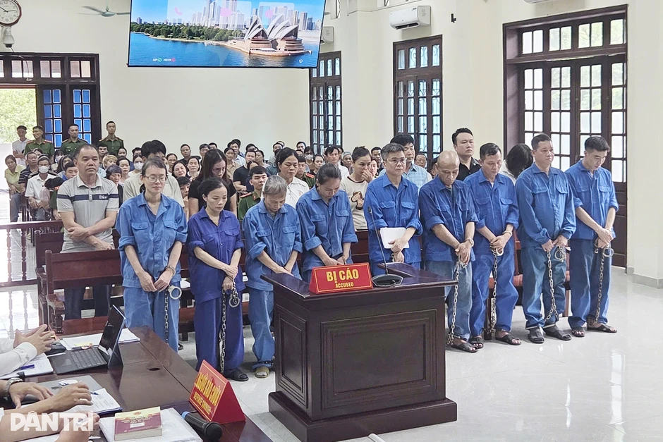 17 bị cáo hầu tòa trong vụ Đồ hộp Hạ Long dùng hơn 197 tấn thịt lợn dịch tả 17 bị cáo hầu tòa trong vụ Đồ hộp Hạ Long dùng hơn 197 tấn thịt lợn dịch tả
