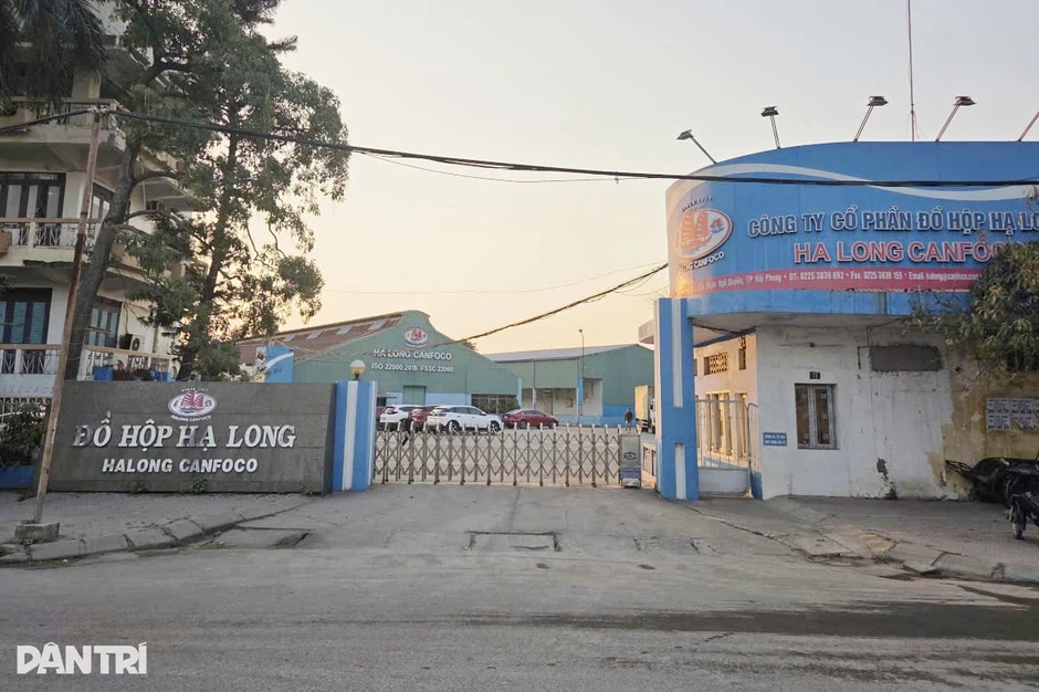 17 bị cáo hầu tòa trong vụ Đồ hộp Hạ Long dùng hơn 197 tấn thịt lợn dịch tả 17 bị cáo hầu tòa trong vụ Đồ hộp Hạ Long dùng hơn 197 tấn thịt lợn dịch tả